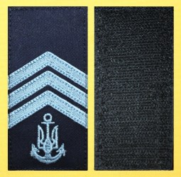 Старшина 1 статті синий